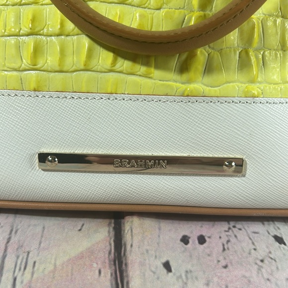Brahmin Vivian Limelight La Scala Color Block Satchel - Picture 8 of 14
